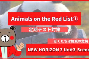 定期テスト New Horizon 中3 Unit3 Animals On The Red List 単語 和訳 英作文トレーニング 英語 Teite Channel