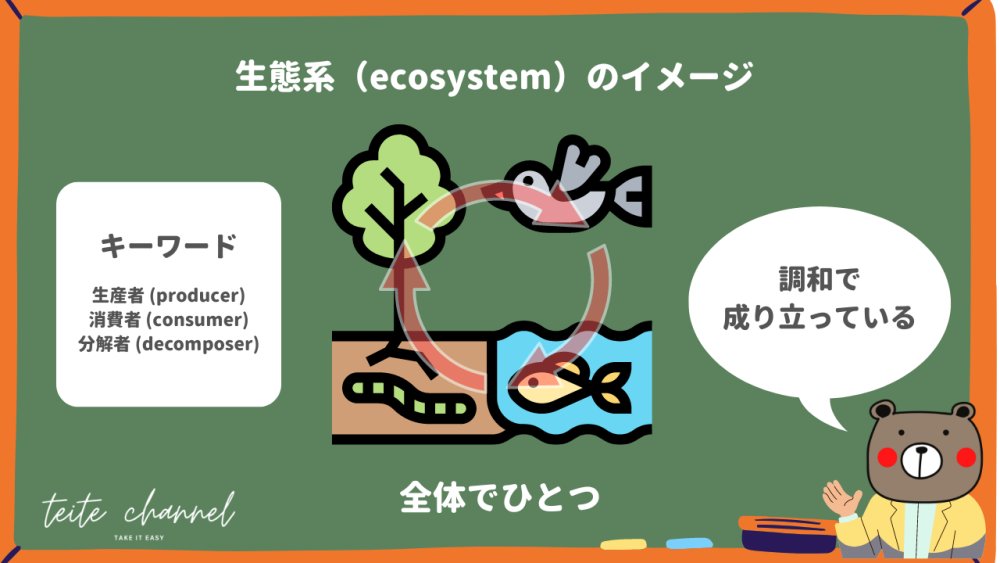 生態系のイメージ