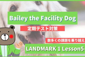 Bailey the Facility Dong - LANDMARK1 Lesson5-2