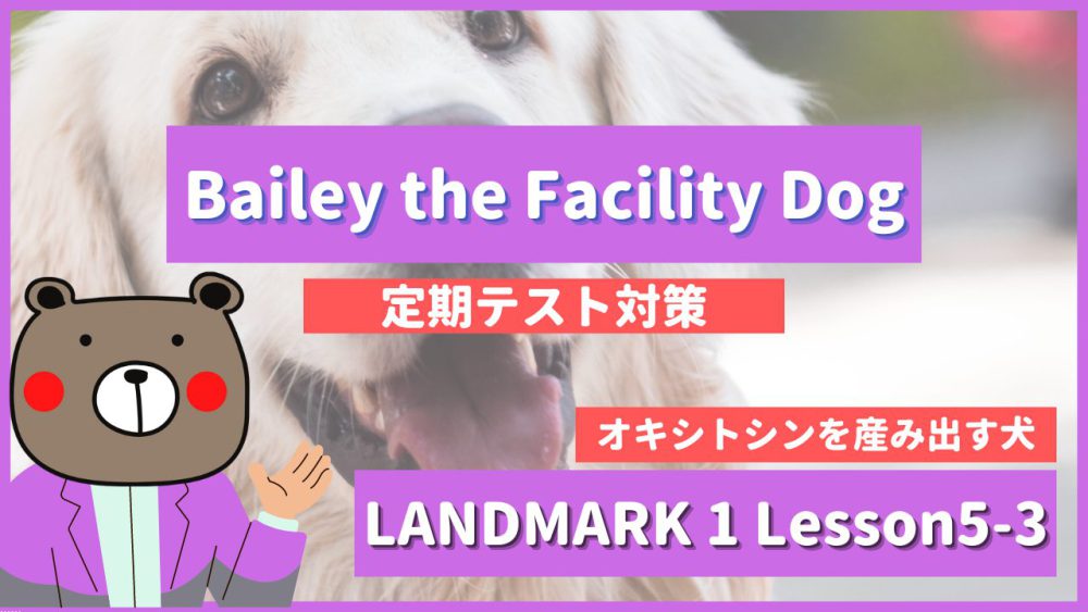 Bailey the Facility Dong - LANDMARK1 Lesson5-3