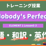 Nobody's Perfect - ELEMENT 1 Lesson5-3 practice
