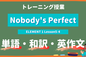Nobody's Perfect - ELEMENT 1 Lesson5-4 practice