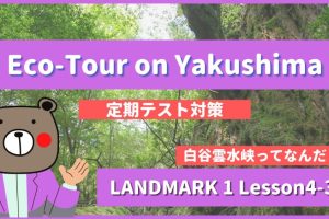 Eco-Tour-on-Yakushima-LANDMARK1-Lesson4-3