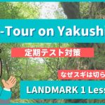 Eco-Tour on Yakushima - LANDMARK1 Lesson4-4