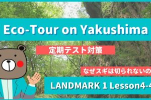Eco-Tour on Yakushima - LANDMARK1 Lesson4-4