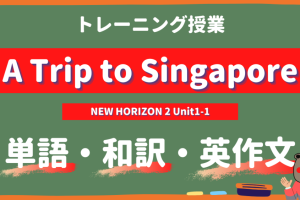 A-Trip-to-Singapore-NEW-HORIZON-Ⅱ-Unit1-1-practice