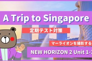 A-Trip-to-Singapore-NEW-HORIZON2-Unit-1-3