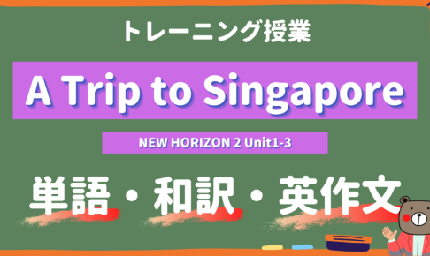 A-Trip-to-Singapore-NEW-HORIZON-Ⅱ-Unit1-3-practice