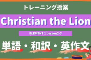 Christian-the-Lion-ELEMENT-1-Lesson2-3-practice