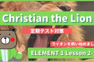 Christian the Lion - ELEMENT1 Lesson 2-2