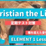 Christian the Lion - ELEMENT1 Lesson 2-4