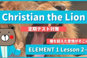 Christian the Lion - ELEMENT1 Lesson 2-4